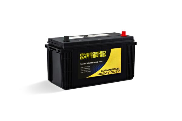 Energised MF Heavy Duty Truck and Tractor Battery DEL-N100L