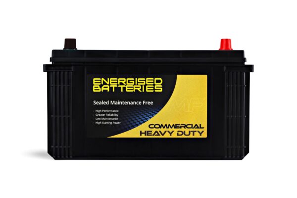 Energised MF Heavy Duty Truck and Tractor Battery DEL-N100L