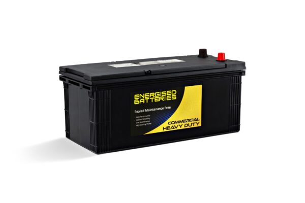 Energised MF Heavy Duty Truck and Tractor Battery DEL-N120EU