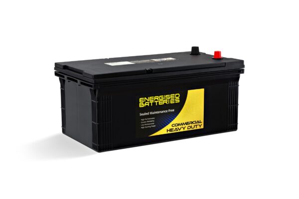 Energised MF Heavy Duty Truck and Tractor Battery DEL-N150EU