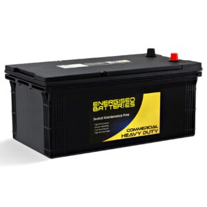 Energised MF Heavy Duty Truck and Tractor Battery NP-N200EU