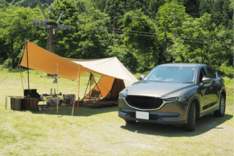 Deep Cycle AGM Batteries