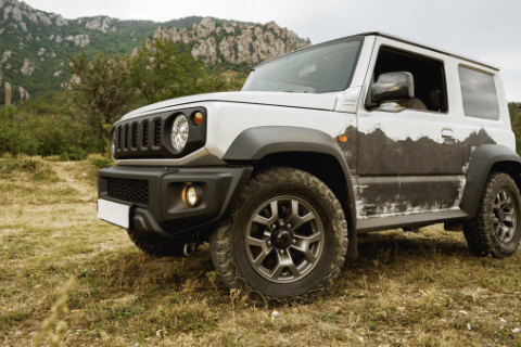 Dual Purpose Batteries