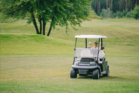 Golf Cart Fully Sealed Gel Batteries
