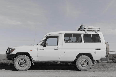 Lead Carbon Batteries