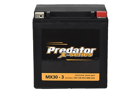 PowerStar YTX30L-BS Replacement AGM Motorcycle Battery - Sealed, 12V, 30AH, 385 CCA - Fits ETX30L, 2 Year Warranty