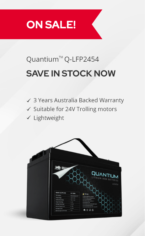 Quantium Q-LFP2454 battery