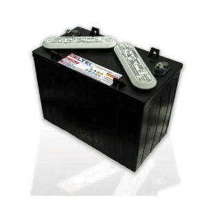 Deltec 48V Golf Cart Batteries 4 x T-1275